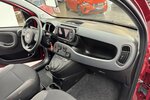 Fiat Panda Cross Red 1.0 Hybrid 1.Hand Neuwertig! 1.600 km 14.220 &euro; Lich 35423