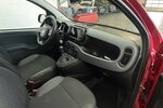Fiat Panda Cross Red 1.0 Hybrid 1.Hand Neuwertig! 38.820 km 12.220 &euro; Lich 35423