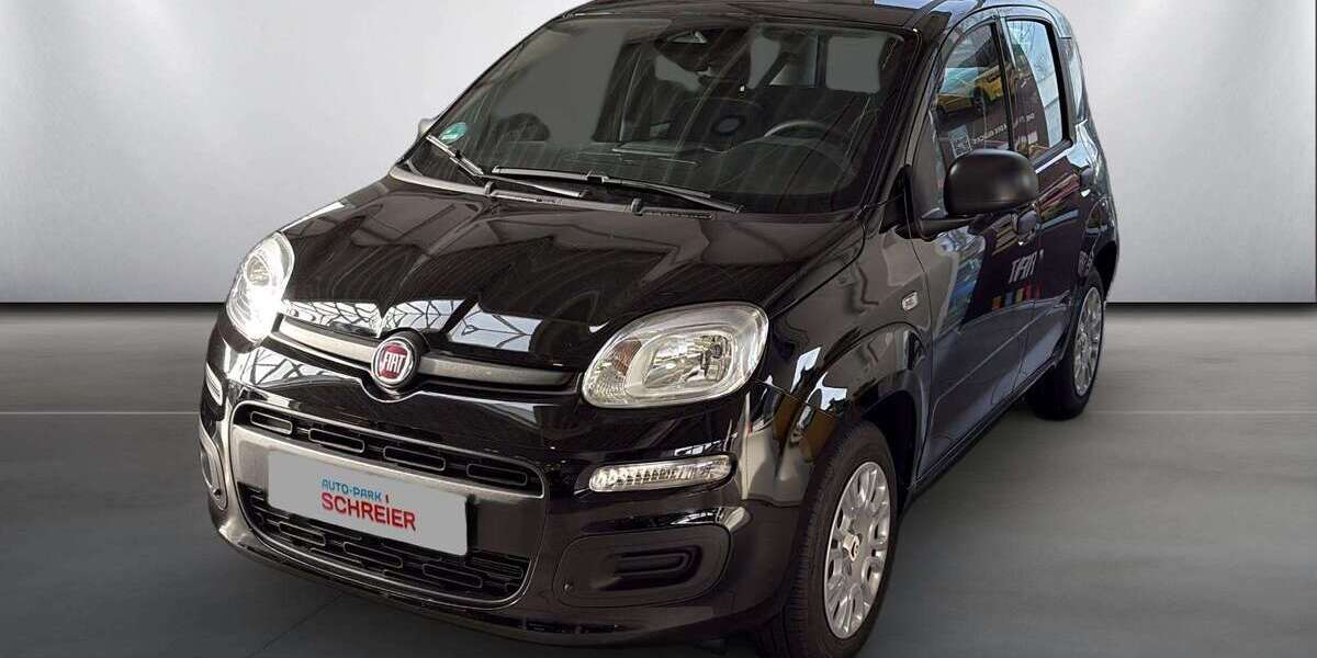 Fiat Panda 3.000 km 16.996 &euro; Bad Nauheim 61231