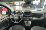 Fiat Panda Cross Red 1.0 Hybrid 1.Hand Neuwertig! 38.820 km 12.220 &euro; Lich 35423